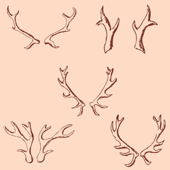 Naklejka premium Horn sketch of a deer. Pencil drawing by hand. Vintage colors. Vector