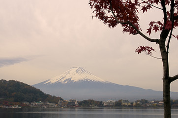 Mount Fuji in autumn season, Yamanashi, Japan
