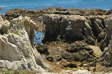 The rocks of Gansbaai, South Africa