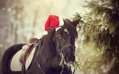 Fototapeten Schwarzes Sportpferd mit roter Weihnachtsmannmütze © Azaliya (Elya Vatel)