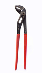 Caliper Parrot
