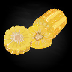 Corn on the cob kernels isolated