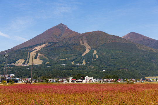 会津磐梯山