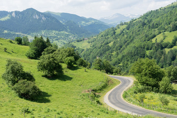 Country road at the Giresun Highland's - Turkey