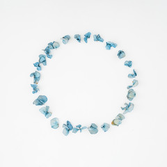 Frame of Hydrangea flowers. Flat lay, top view, isolated on white background