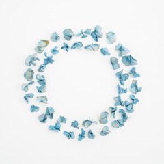 Frame of blue flowers. Flat lay, top view, isolated on white background