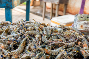 Tiger prawns at Asian fishmarket