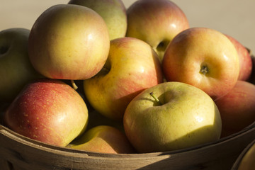 a bowl of Stayman Apples