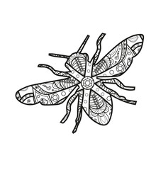 Vector illustration of a black and white mandala fly for coloring book, mosca mandala in bianco e nero da colorare vettoriale