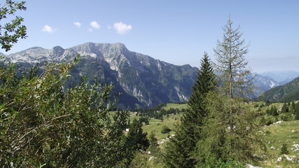 Altopiano del Montasio