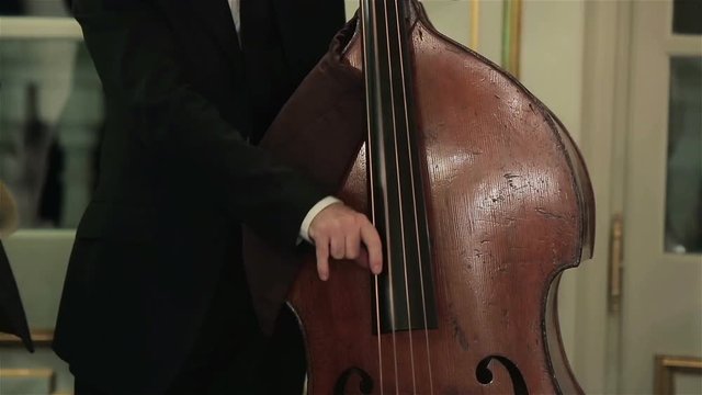 Playing double bass with hands plucking strings close up. Man musician fingers performing pizzicato technique contrabass doublebass cello rhythm at live jazz concert on stage. Acoustic bass instrument