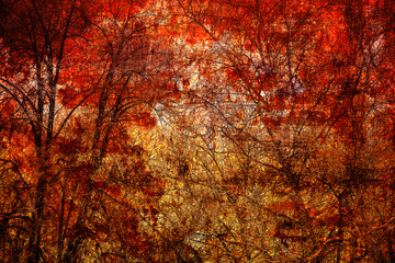 Abstract trees on a bright red background. Art background, double exposure