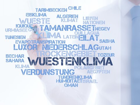 W&uuml;stenklima
