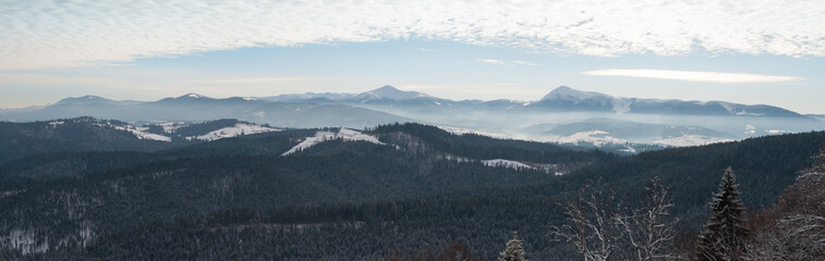 Panorama of the Carpathian mountains in winter