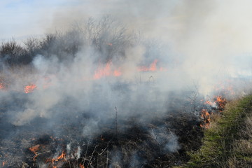 Burning dry grass and reeds. Cleaning the fields and ditches of the thickets of dry grass