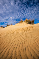 Sand dune, North Carolina Outer Banks, Jockey's Ridge