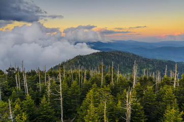 Scenic summer sunset, Great Smoky Mountains, Clingmans Dome