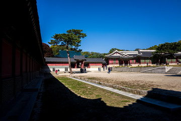 Obraz premium ground silhouette in changdeokgung palace