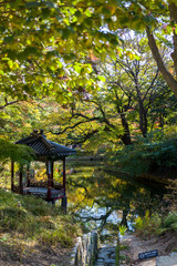 pavilion and trees reflection in changdeokgung palace
