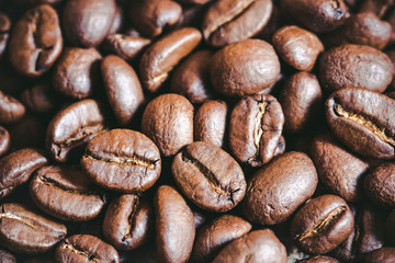 Artistic coffee seeds with shallow depth of field background.