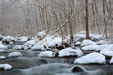 冬の奥入瀬渓流