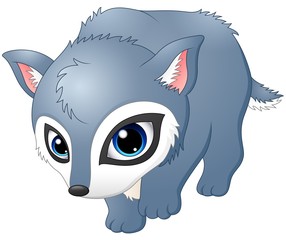 Cute baby wolf walking