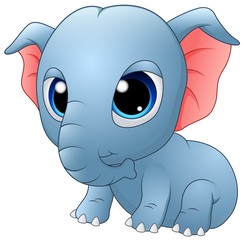 Cute baby elephant sitting