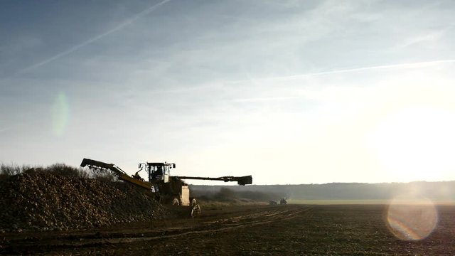 avaleuse &agrave; betteraves en action (4k)