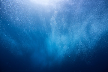 Fototapeta premium blue and blue