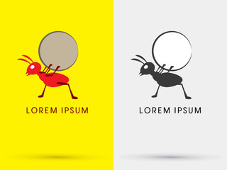 Ant design graphic vector.