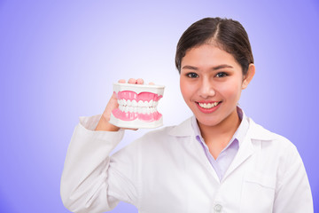 dentist woman holding dental model 