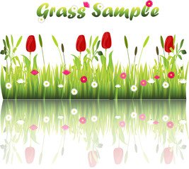 grass with flowers