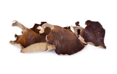 Obraz premium Mushroom , Thai name 