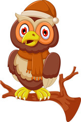 cute owl cartoon standing on branch