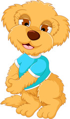 cute baby bear cartoon posing