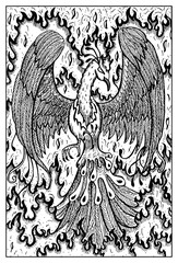 Phoenix in fire. Engraved fantasy illustration