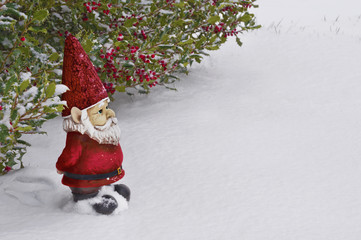 Gnome with red hat and suit standing in the snow/ Gnome with red hat and suit standing in the snow under a holly tree with red berries