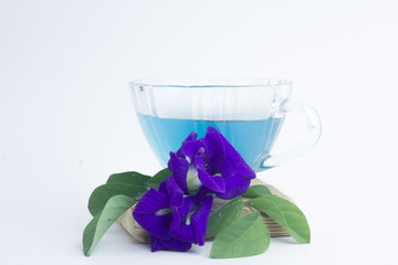 Butterfly pea juice and flowers on a white background..Flower Bu