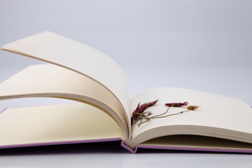 bookmark