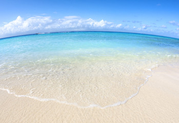 Caribbean shore fisheye