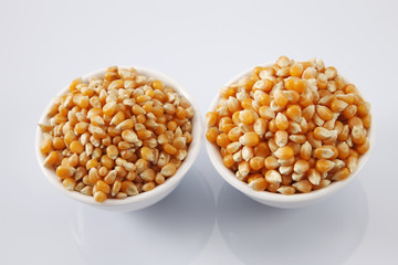 maize corn