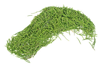 Dried fir needles after christmas, isolated on a white backgroun