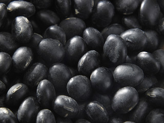 black bean