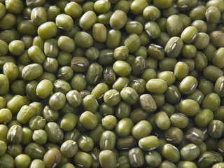 Green bean