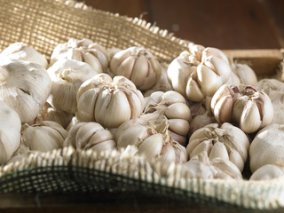 garlic