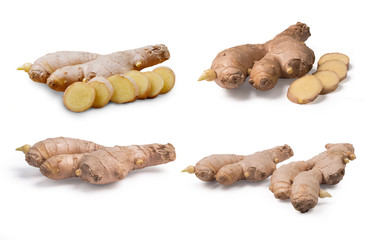 multiple Gingers on white background