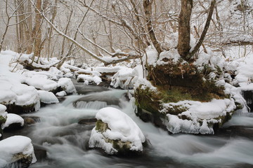 冬の奥入瀬渓流