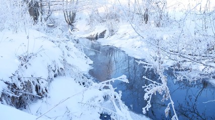 winter creek in the forest snow, frozen branches of landscape tree nature