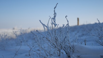 frozen grass next to the highway route travel movement of auto winter