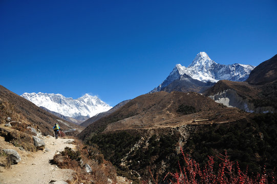 hiker mountain, fun hike in himalaya, nepal